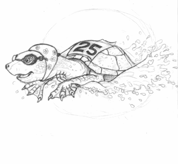 Turtlespeed.jpg